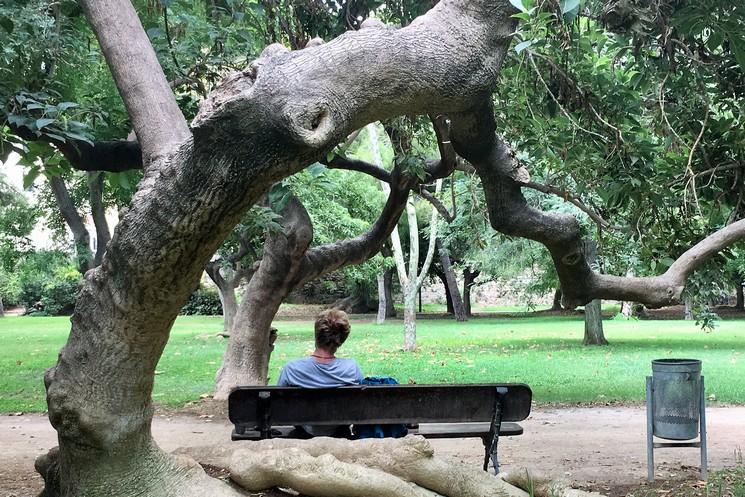 Homme sur un banc dans le rio Turia de Valencia