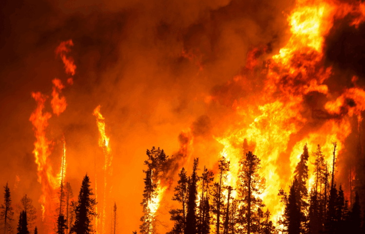 incendie galice octobre 2017