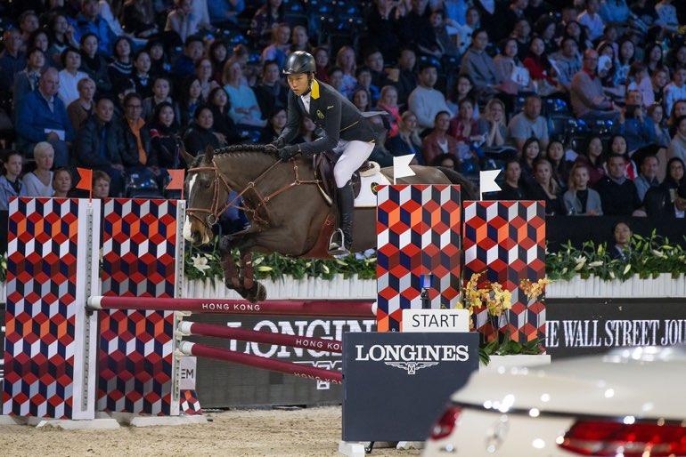 Longes saut équitation obstacle