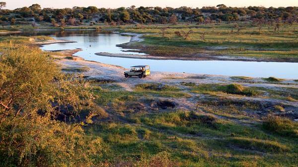 botswana, elephant, safari, tourisme, destination, voyages, afrique, chobe, kalahari