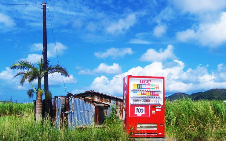 okinawa-japon-îles-lepetitjournal