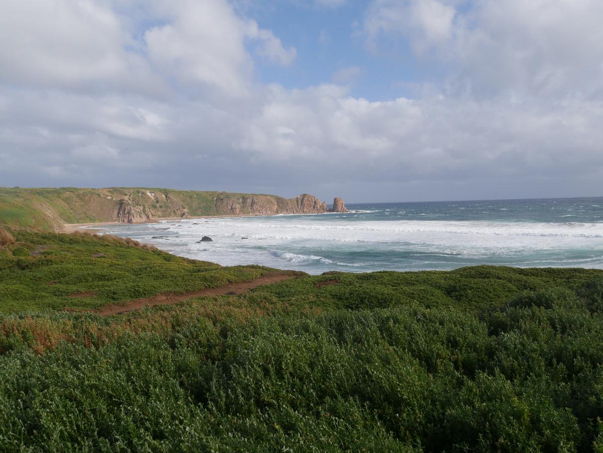 Phillip Island Melbourne Australie plage île océan