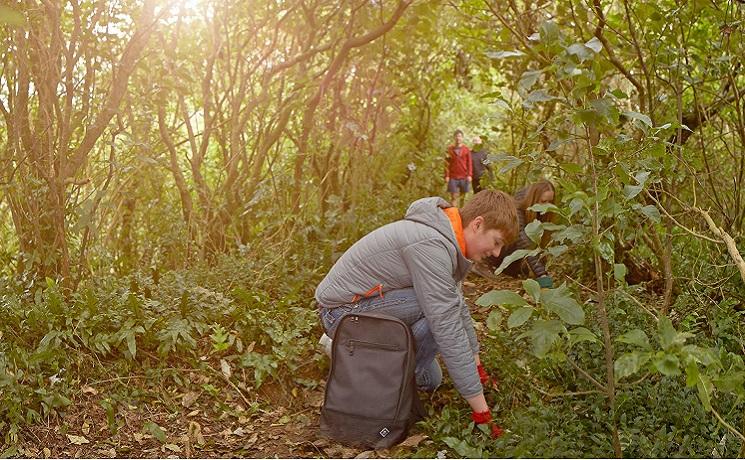 Volontaires, Département de Conservation, Nouvelle Zélande