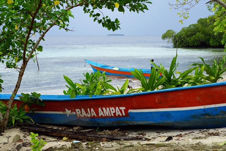 Raja-ampat/papouasie/indonesie/preservation/faunemarine