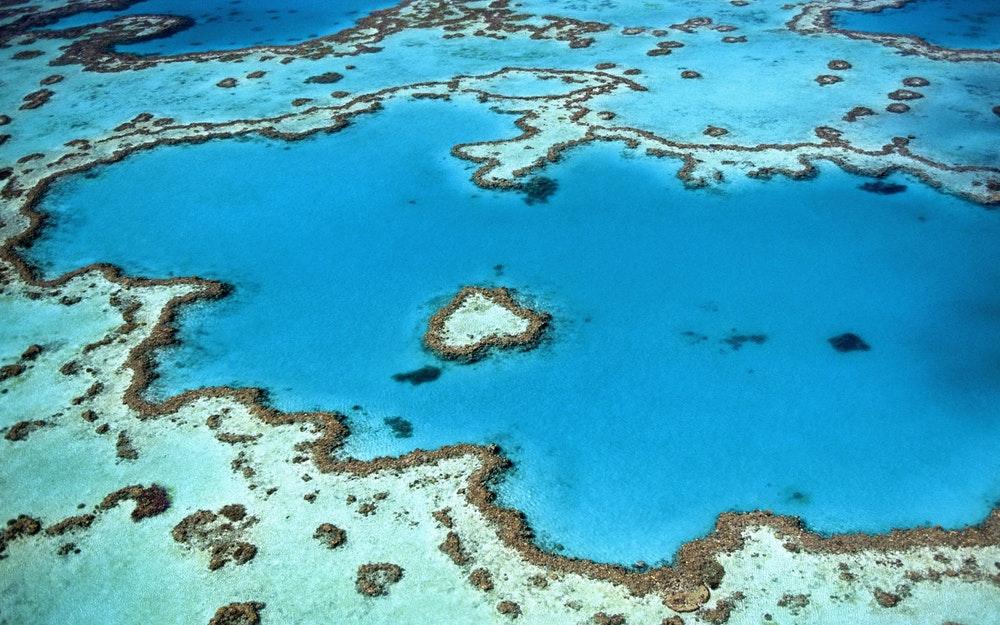 Des cristaux au secours de la Grande barrière de corail