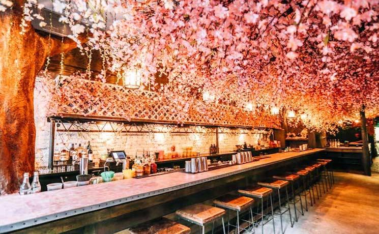 The Spring Blossom Pop-up Bar rooftop