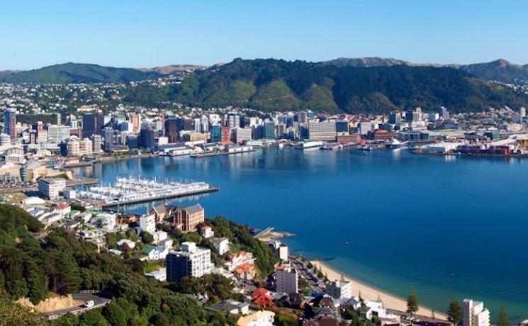 Le Petit Journal Wellington