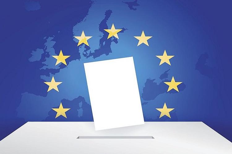 élections européennes 2019 français établis à l'étranger