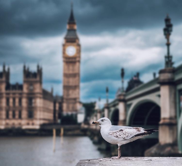 Royaume-Uni Parlement Amendement députés britanniques contrôle Agenda Brexit