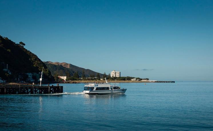 Ferry Wellington