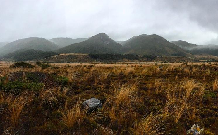 kahurangi National Park