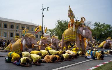 Elephant-couronnement-Thailande