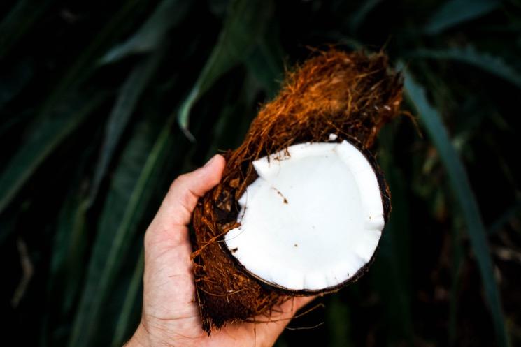 Les bienfaits de la noix coco - fruits du Brésil- noix de coco- eau de coco - huile de coco