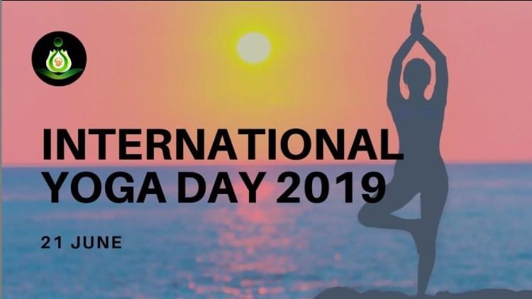 journee internationale yoga