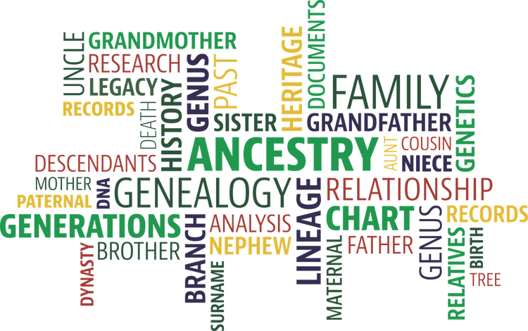 genealogy yves delhaye