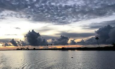 Kerala Fort Kochi Munnar Backwaters