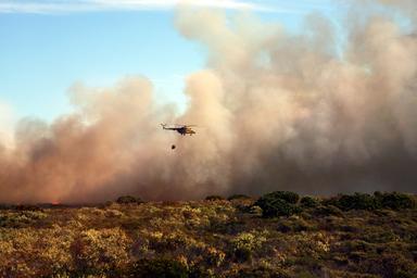 incendie foret feu precautions