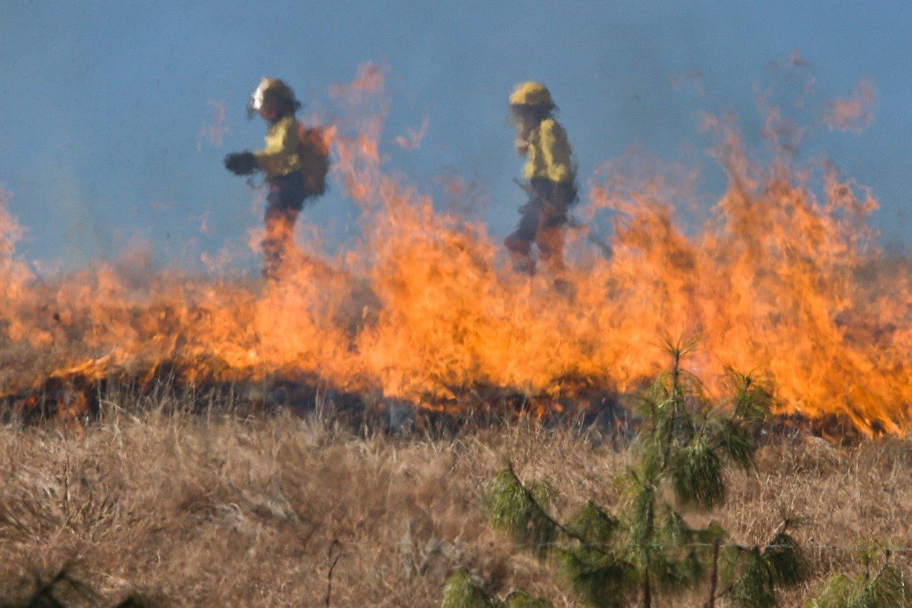 pompier incendie NSW