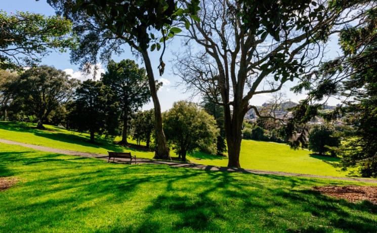 Urban Forest à Auckland