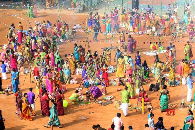 une ambiance de Pongal dans le Tamil Nadu