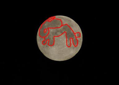 le viel homme son lapin et la lune