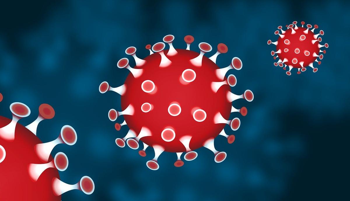 coronavirus transmission deces