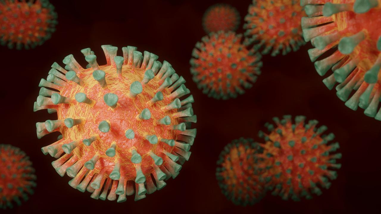 Coronavirus Turquie vie quotidienne communauté française