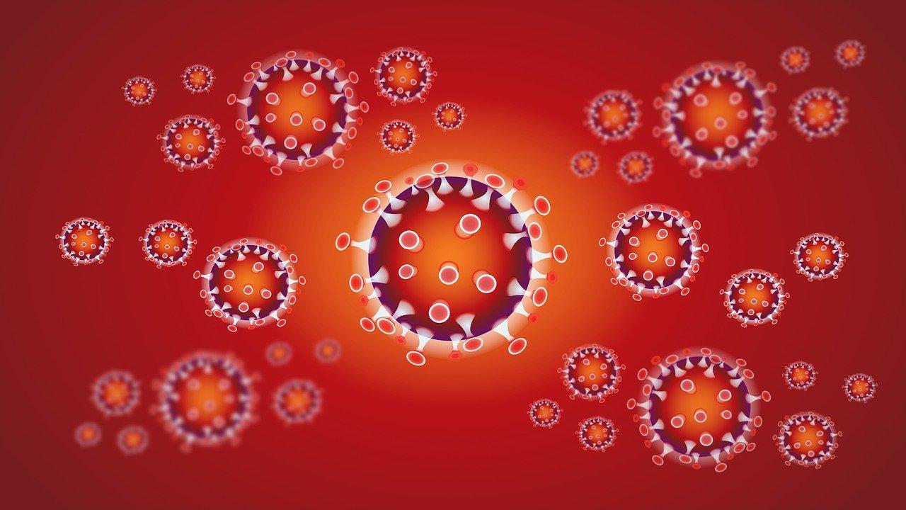 coronavirus cas confirmes