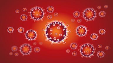 coronavirus cas confirmes