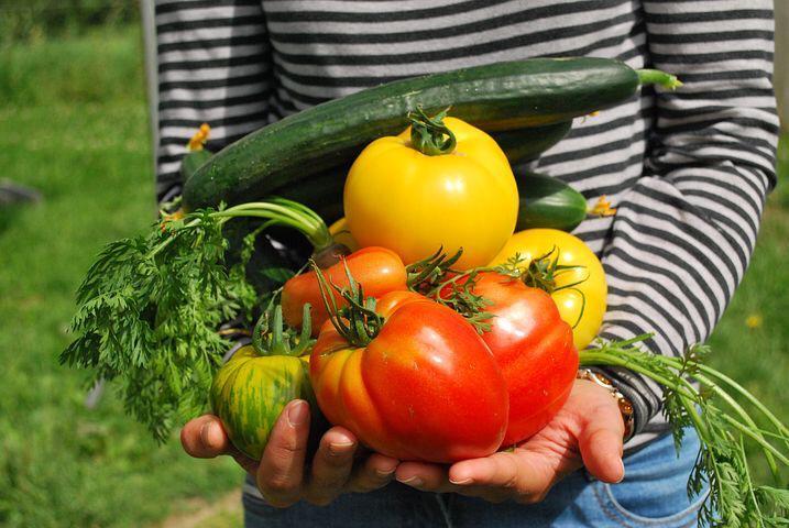 potager maison Turquie Istanbul 