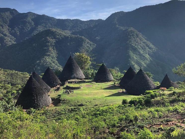 Was Rebo Flores habitat