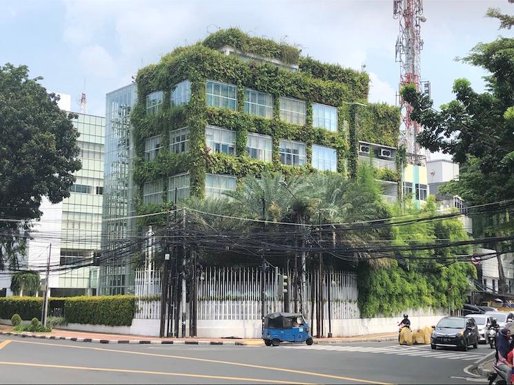 Immeuble couvert de végétation à Jakarta