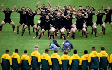 Nouvelle Zélande australie rugby