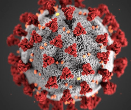 Coronavirus Suède restrictions