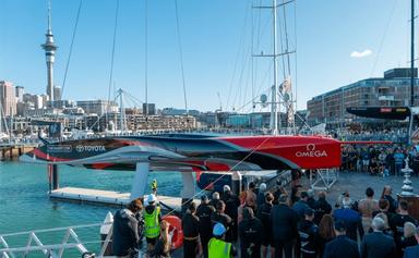 Team NZ america's cup