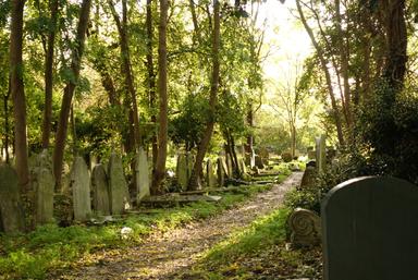 réchauffement climatique cimetière highgate 