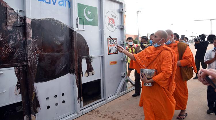 Kaavan Siem Reap