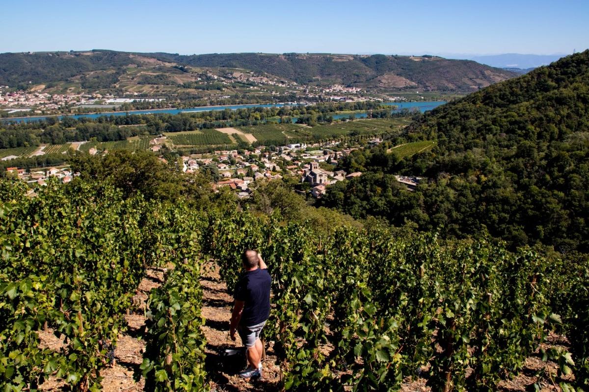 The Wine Story Club Thibault Lavergne Domaine Jean-Francois Jacouton Tentation