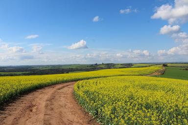 découverte campagne anglaise Frome