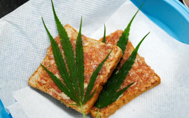 cannabis cuisine thaïlande