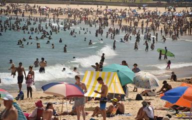 canicule sydney australie