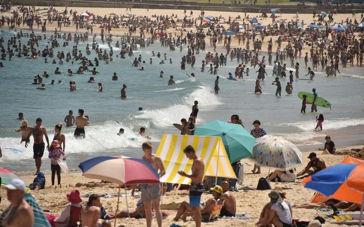 canicule sydney australie