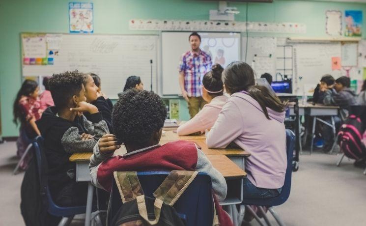 langue français ecole nouvelle zelande