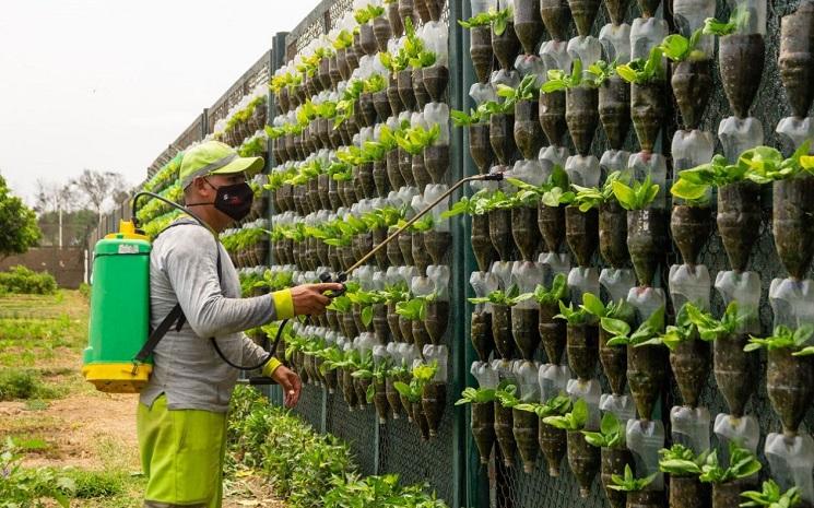 surco potager vertical