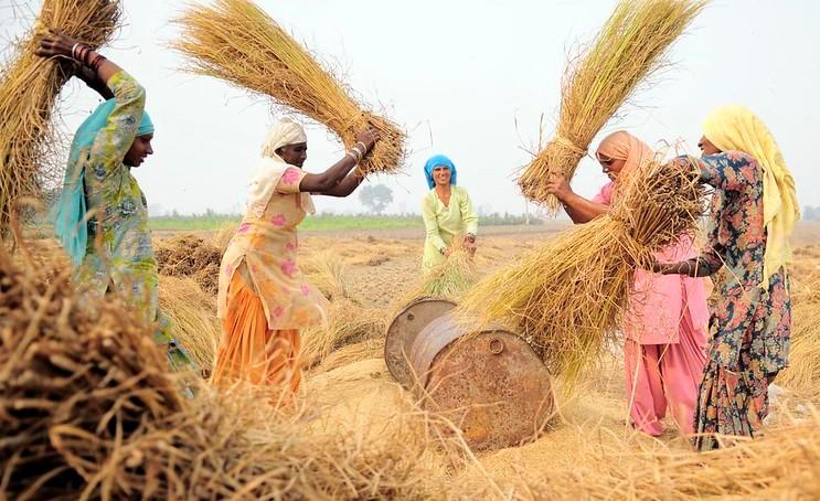 femmes journee manifestation agriculture inde