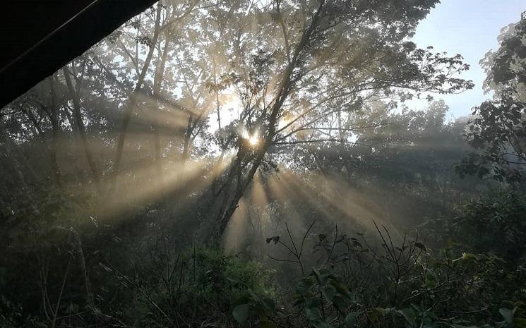 bosque churumazu forêt pérou oxapampa