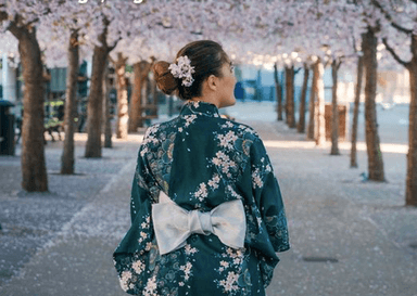 Cerisiers japonais en fleur à Kungsträdgården