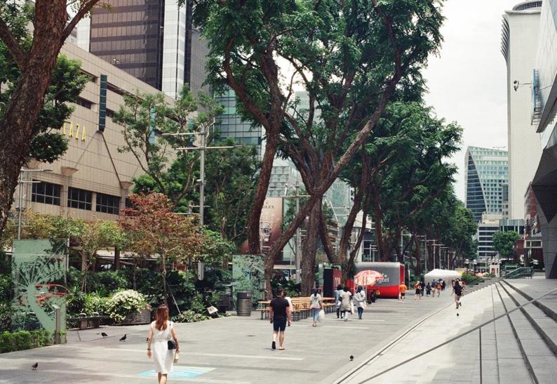 Une rue de Singapour