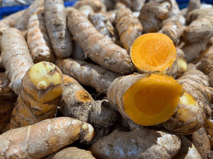 Le curcuma une épice aux nombreuses vertus