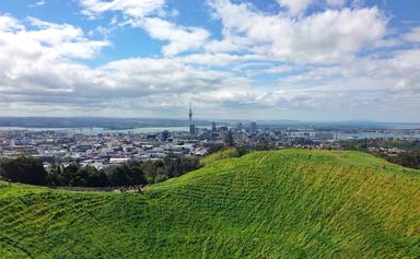 Vue d'Auckland depuis Mount Eden